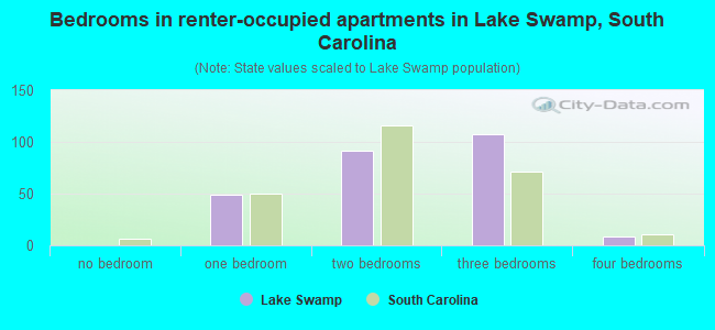 Bedrooms in renter-occupied apartments in Lake Swamp, South Carolina