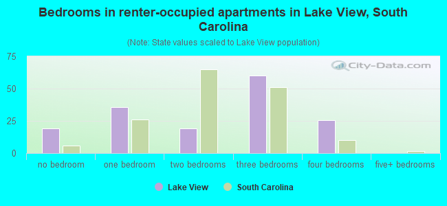 Bedrooms in renter-occupied apartments in Lake View, South Carolina