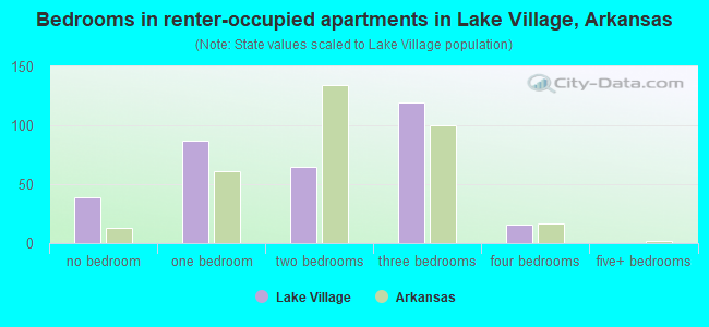 Bedrooms in renter-occupied apartments in Lake Village, Arkansas