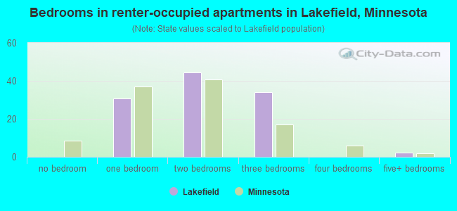 Bedrooms in renter-occupied apartments in Lakefield, Minnesota