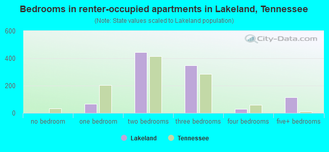 Bedrooms in renter-occupied apartments in Lakeland, Tennessee