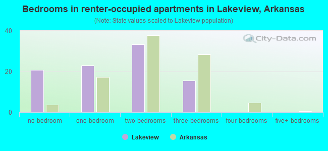 Bedrooms in renter-occupied apartments in Lakeview, Arkansas