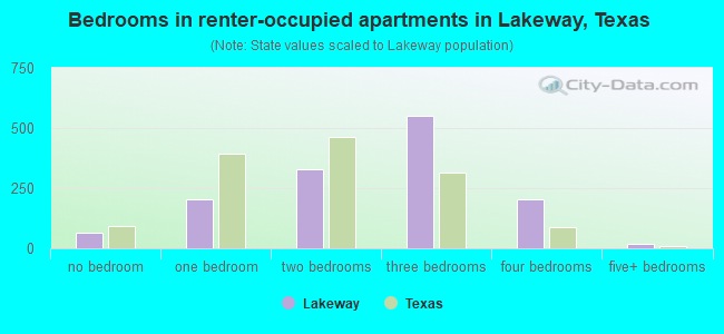 Bedrooms in renter-occupied apartments in Lakeway, Texas