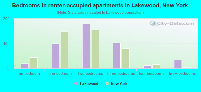 Bedrooms in renter-occupied apartments in Lakewood, New York