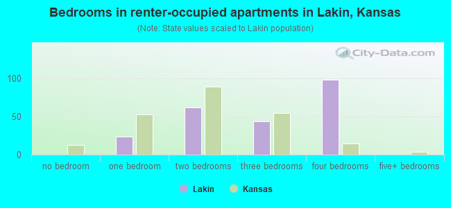 Bedrooms in renter-occupied apartments in Lakin, Kansas