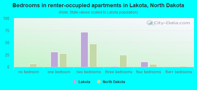 Bedrooms in renter-occupied apartments in Lakota, North Dakota