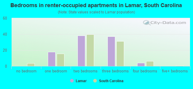 Bedrooms in renter-occupied apartments in Lamar, South Carolina