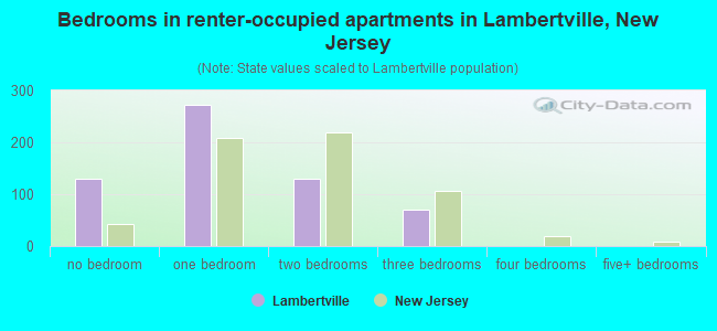 Bedrooms in renter-occupied apartments in Lambertville, New Jersey