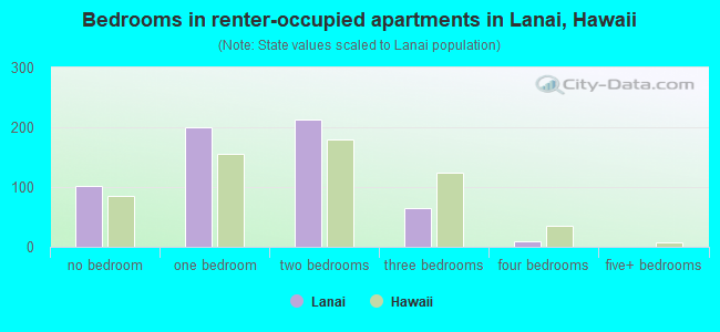 Bedrooms in renter-occupied apartments in Lanai, Hawaii