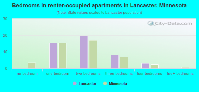 Bedrooms in renter-occupied apartments in Lancaster, Minnesota