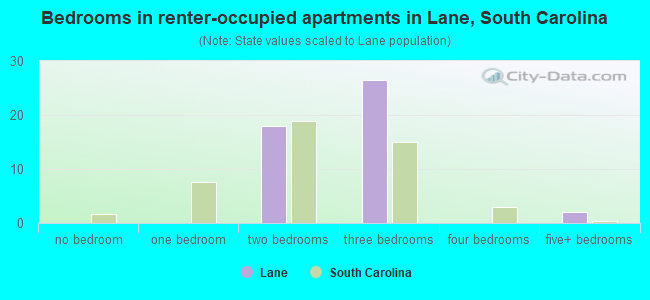 Bedrooms in renter-occupied apartments in Lane, South Carolina