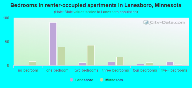 Bedrooms in renter-occupied apartments in Lanesboro, Minnesota