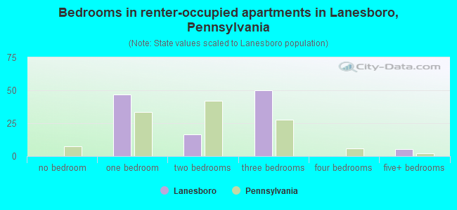 Bedrooms in renter-occupied apartments in Lanesboro, Pennsylvania