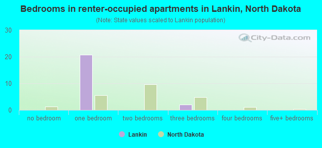 Bedrooms in renter-occupied apartments in Lankin, North Dakota