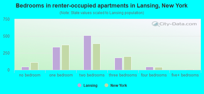 Bedrooms in renter-occupied apartments in Lansing, New York