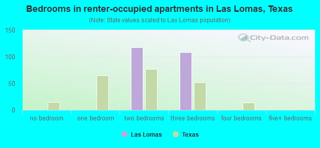 Bedrooms in renter-occupied apartments in Las Lomas, Texas