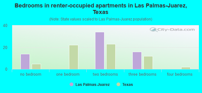 Bedrooms in renter-occupied apartments in Las Palmas-Juarez, Texas