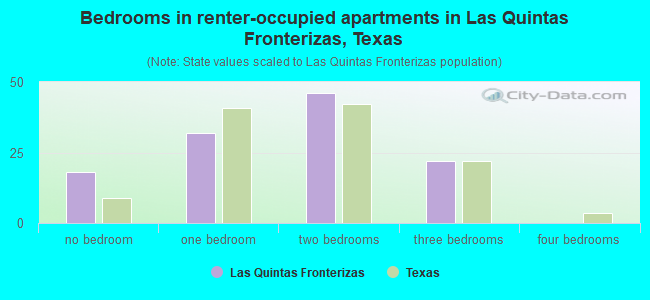 Bedrooms in renter-occupied apartments in Las Quintas Fronterizas, Texas