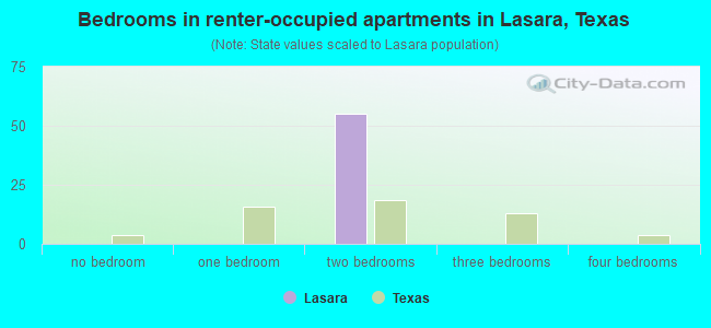 Bedrooms in renter-occupied apartments in Lasara, Texas