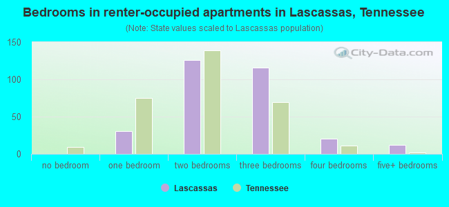 Bedrooms in renter-occupied apartments in Lascassas, Tennessee