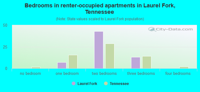 Bedrooms in renter-occupied apartments in Laurel Fork, Tennessee