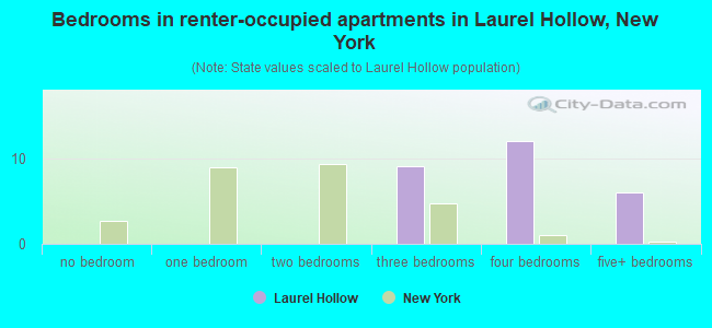Bedrooms in renter-occupied apartments in Laurel Hollow, New York