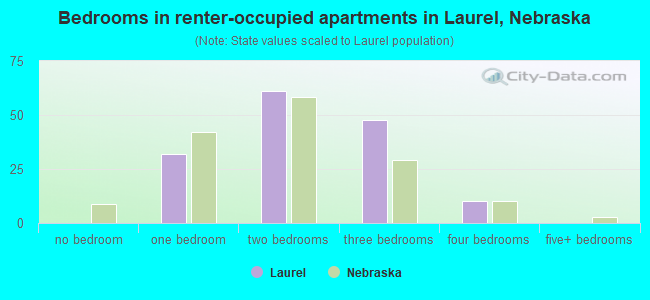 Bedrooms in renter-occupied apartments in Laurel, Nebraska