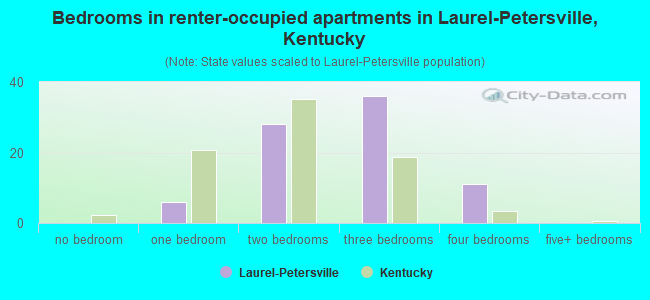 Bedrooms in renter-occupied apartments in Laurel-Petersville, Kentucky