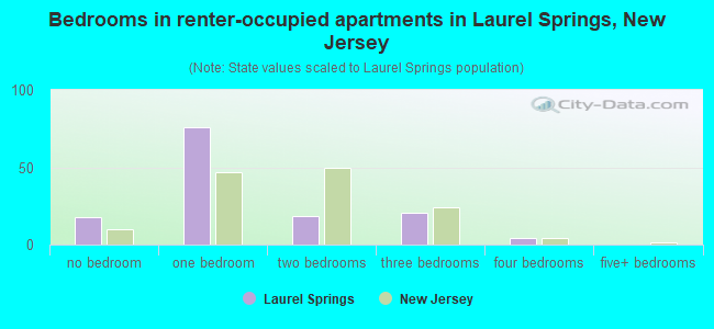 Bedrooms in renter-occupied apartments in Laurel Springs, New Jersey