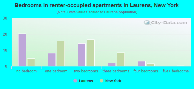 Bedrooms in renter-occupied apartments in Laurens, New York