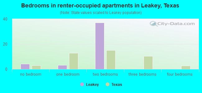 Bedrooms in renter-occupied apartments in Leakey, Texas