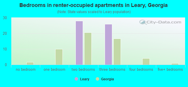 Bedrooms in renter-occupied apartments in Leary, Georgia