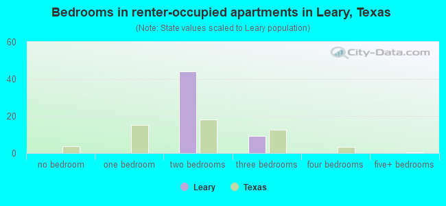 Bedrooms in renter-occupied apartments in Leary, Texas