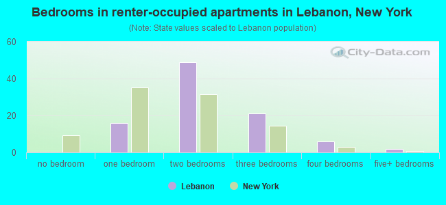 Bedrooms in renter-occupied apartments in Lebanon, New York