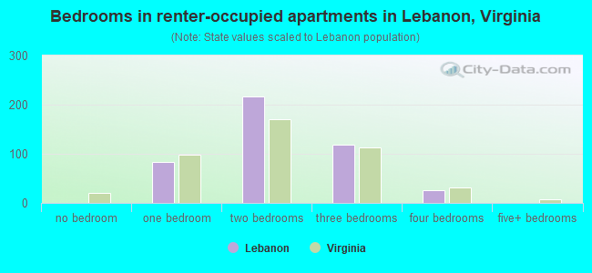 Bedrooms in renter-occupied apartments in Lebanon, Virginia