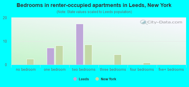 Bedrooms in renter-occupied apartments in Leeds, New York