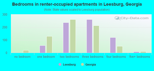 Bedrooms in renter-occupied apartments in Leesburg, Georgia
