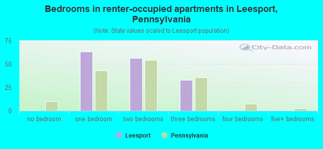 Bedrooms in renter-occupied apartments in Leesport, Pennsylvania