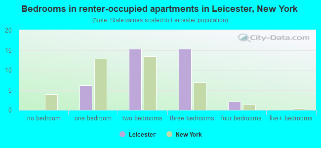 Bedrooms in renter-occupied apartments in Leicester, New York
