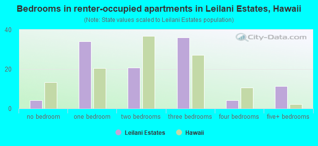 Bedrooms in renter-occupied apartments in Leilani Estates, Hawaii
