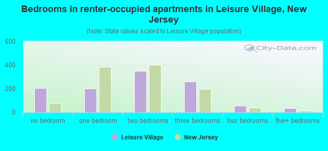 Bedrooms in renter-occupied apartments in Leisure Village, New Jersey