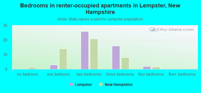 Bedrooms in renter-occupied apartments in Lempster, New Hampshire