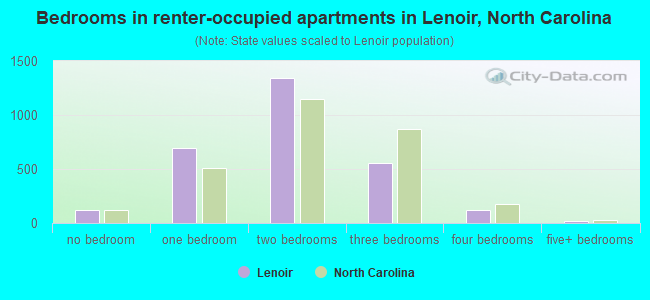 Bedrooms in renter-occupied apartments in Lenoir, North Carolina