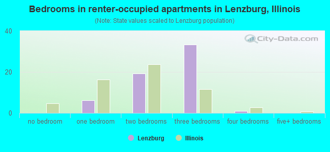 Bedrooms in renter-occupied apartments in Lenzburg, Illinois