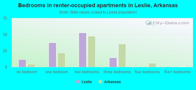Bedrooms in renter-occupied apartments in Leslie, Arkansas