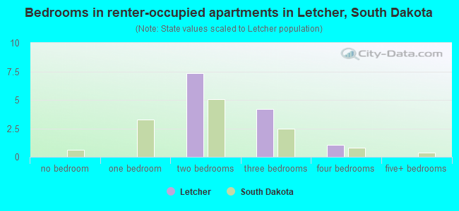 Bedrooms in renter-occupied apartments in Letcher, South Dakota