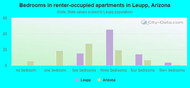 Bedrooms in renter-occupied apartments in Leupp, Arizona