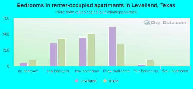 Bedrooms in renter-occupied apartments in Levelland, Texas