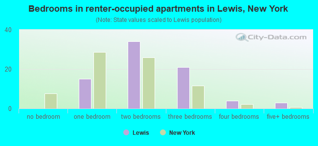 Bedrooms in renter-occupied apartments in Lewis, New York