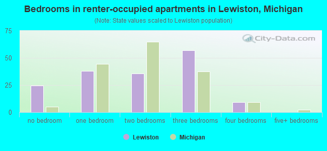 Bedrooms in renter-occupied apartments in Lewiston, Michigan
